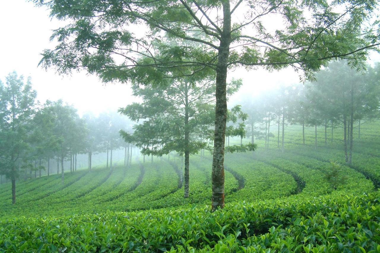 Apartamento Mistica Munnar Anachal Exterior foto