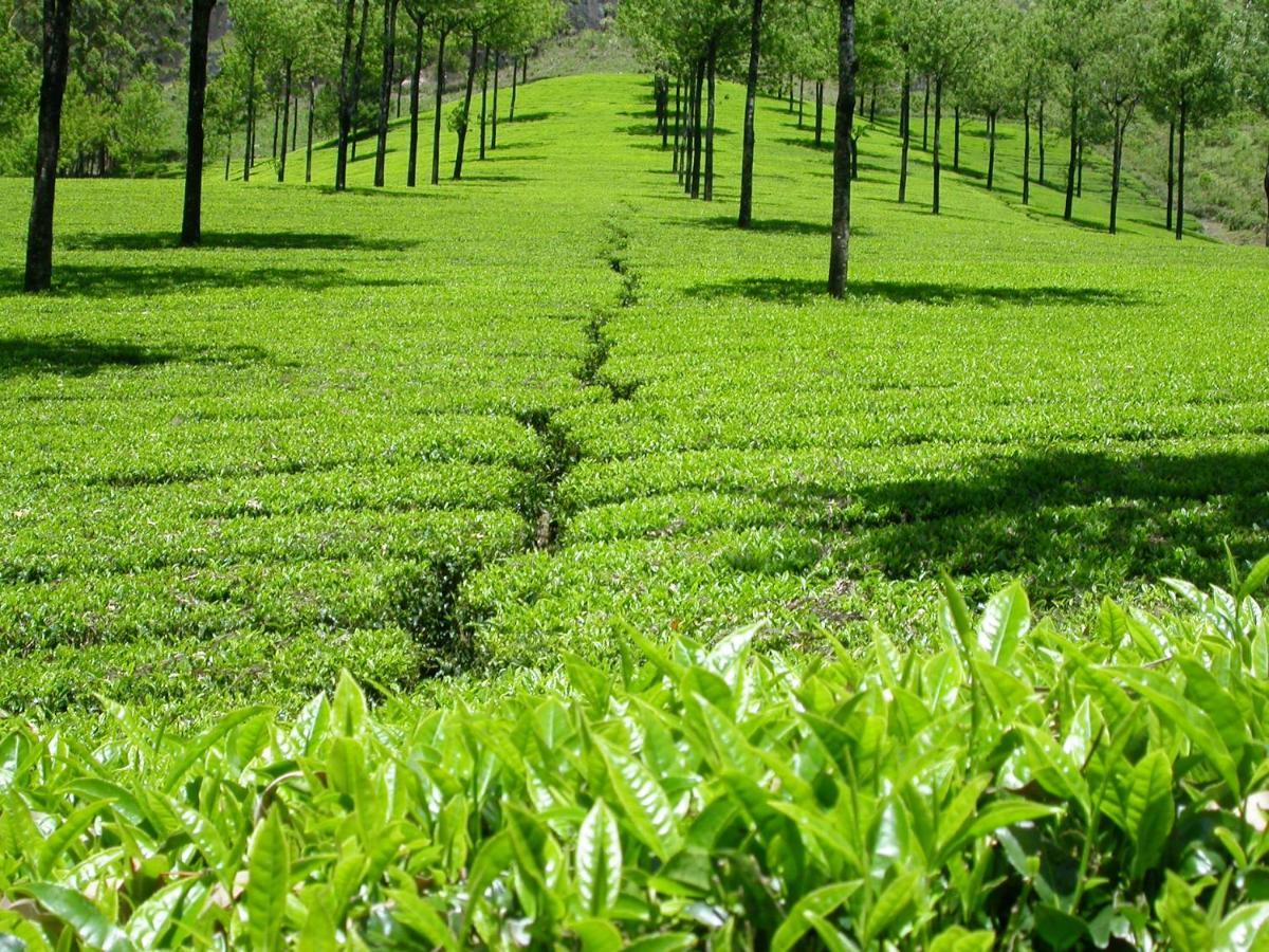 Apartamento Mistica Munnar Anachal Exterior foto