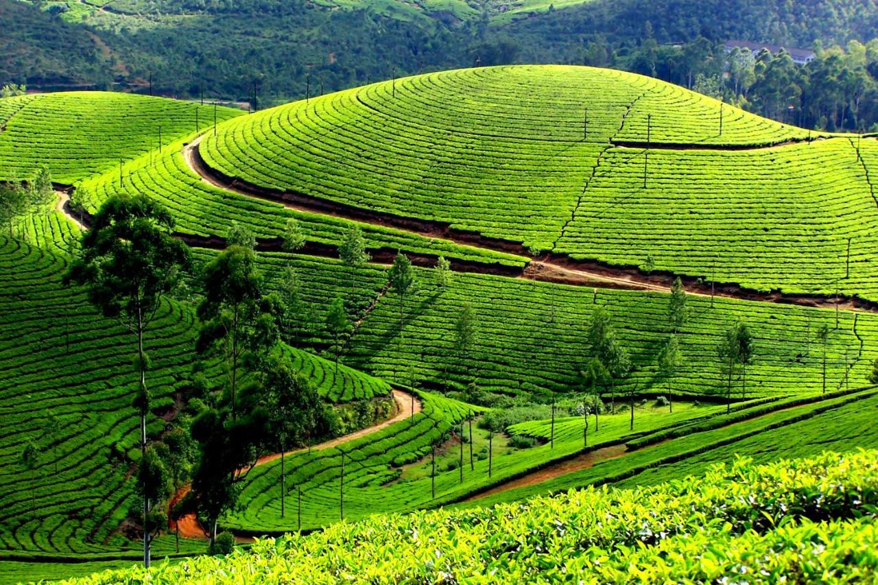 Apartamento Mistica Munnar Anachal Exterior foto