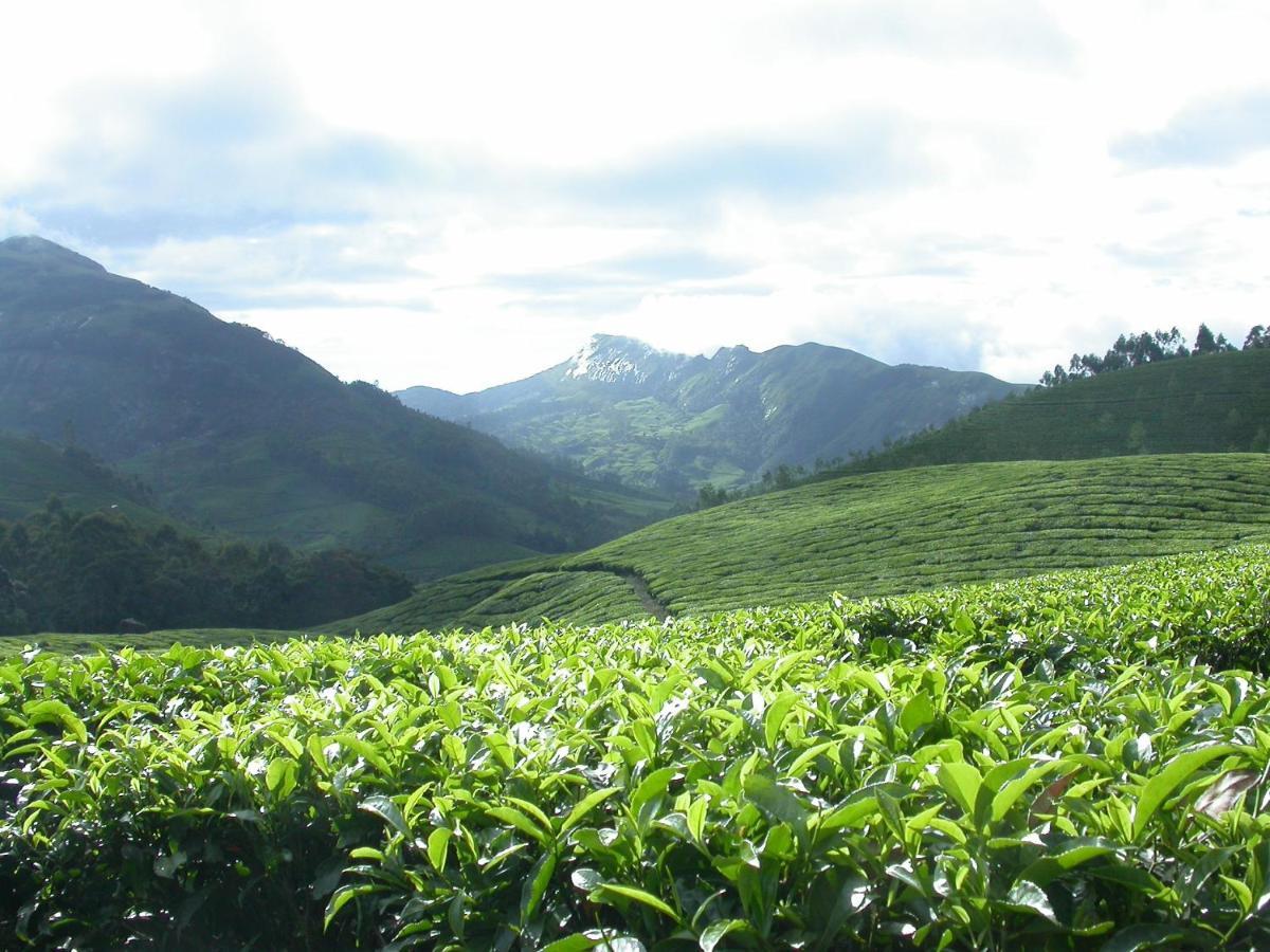 Apartamento Mistica Munnar Anachal Exterior foto