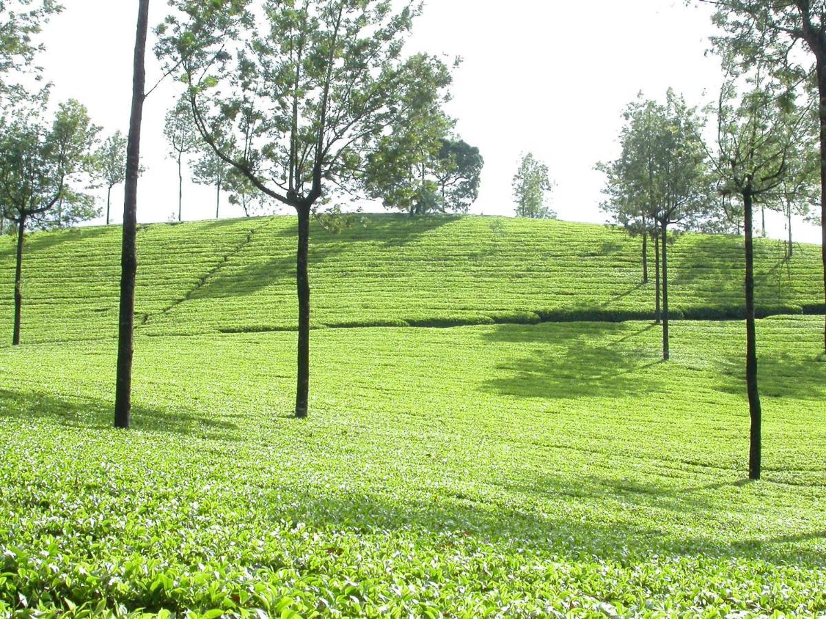 Apartamento Mistica Munnar Anachal Exterior foto