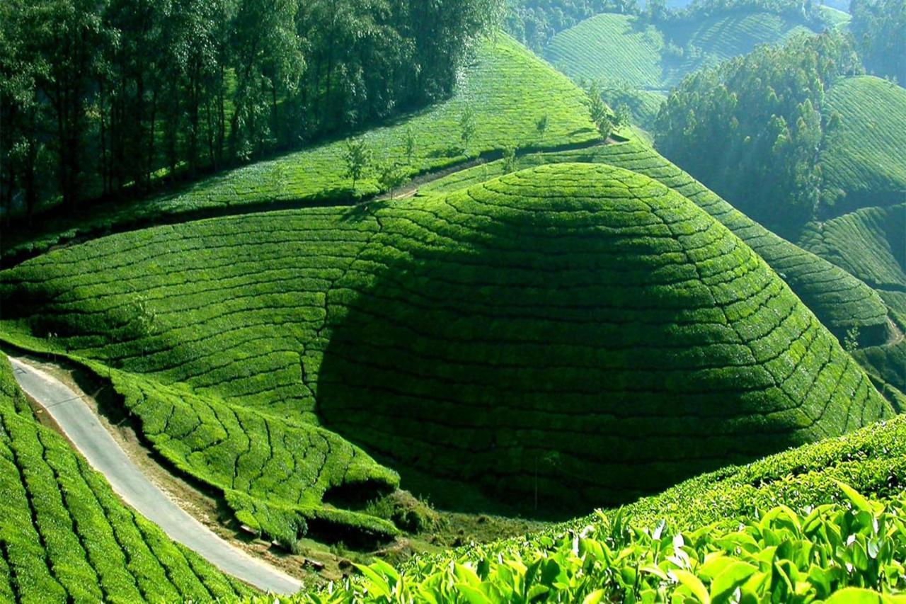Apartamento Mistica Munnar Anachal Exterior foto