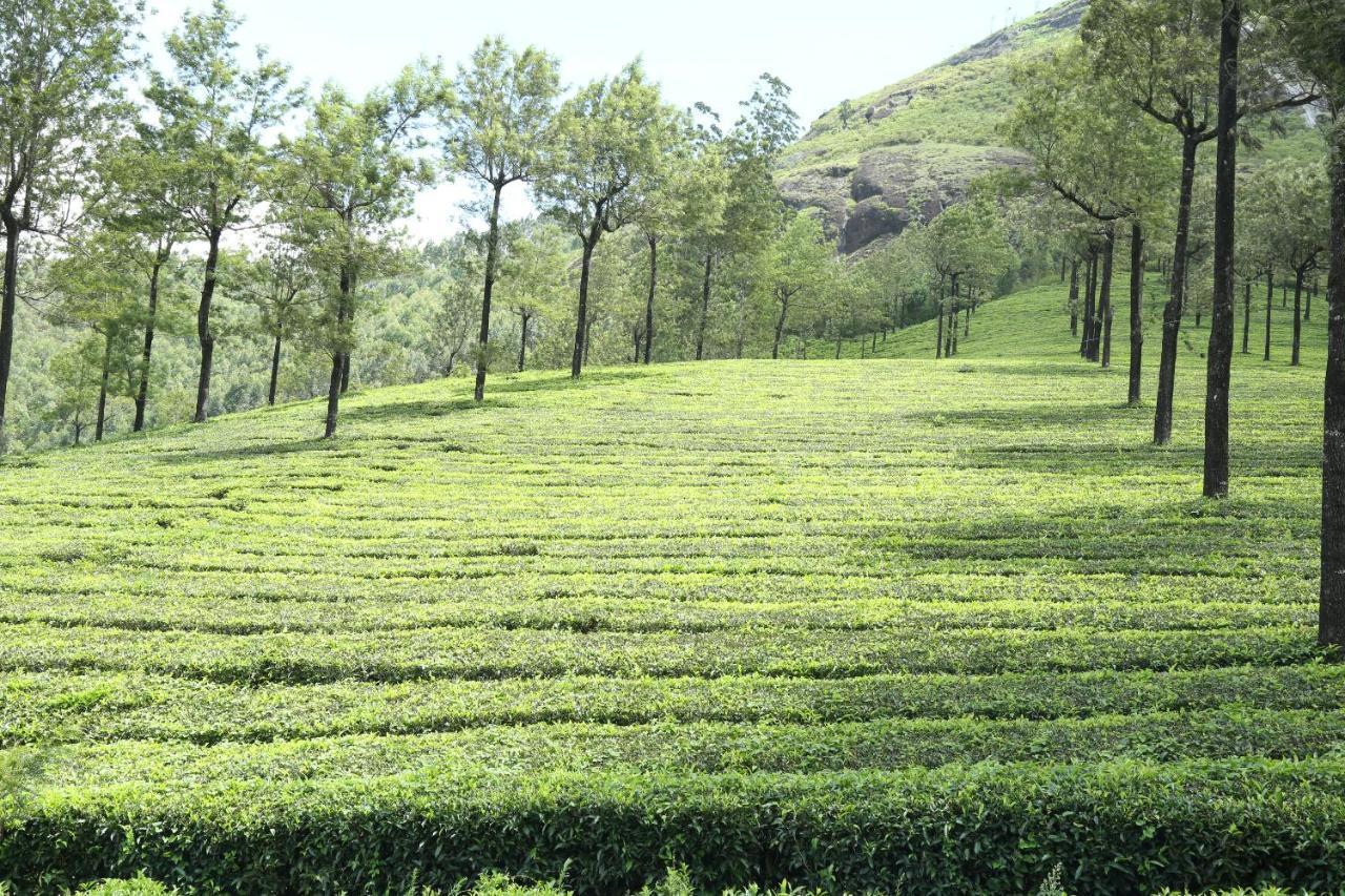 Apartamento Mistica Munnar Anachal Exterior foto